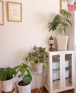 女性ホルモンサポート Aroma天使のてのエステ・リラクイメージ