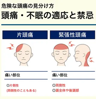 バリニーズ ジンバランの眉毛・アイブロウイメージ