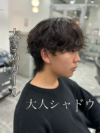 パーマ メンズ 🍐シャドウパーマ メンズ特化/守岡🍐のヘアスタイル