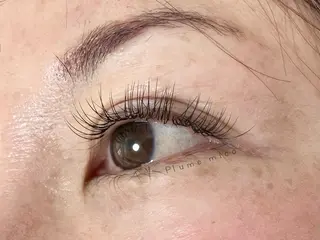 マツエク・マツパ Plume micoのマツエク・マツパデザイン