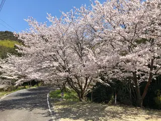 ショート Hair Communication Puzzle所属・雪上 章のヘアスタイル