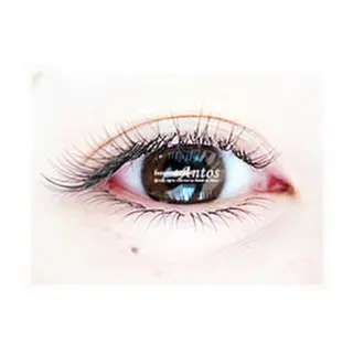 マツエク・マツパ まつげ&眉毛専門店 アントスstaffのマツエク・マツパデザイン