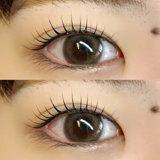 マツエク・マツパ ani 【アニ】所属・ani 【アニ】 恵比寿のマツエク・マツパデザイン