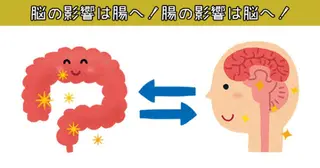 lucy 腸活エステ ジムkanaeのエステ・リラクイメージ