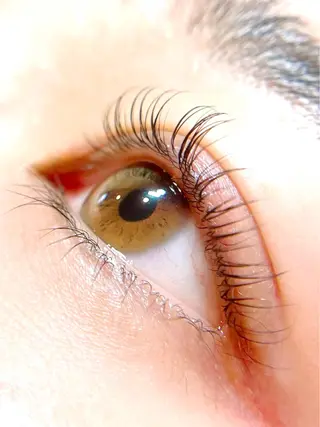 マツエク・マツパ PRIMO🐈🌱 マツパ/黒ティントのマツエク・マツパデザイン