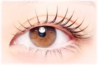 マツエク・マツパ Dahlia Beauty 伊藤のマツエク・マツパデザイン