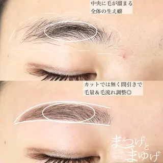 アイブロウ 【まつげパーマ/眉毛/アイブロウ】パーマ専門店　まつげとまゆげ所属・まつげとまゆげ 天王寺店 帆乃果🎀のマツエク・マツパデザイン