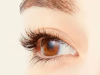 マツエク・マツパ MiURA/新技術 &研修生モデル募集用のマツエク・マツパデザイン