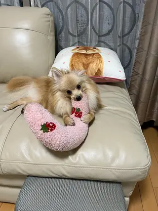 Sona hair & eyelash salon所属・紙屋 隼人のヘアスタイル