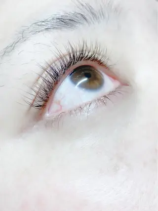 マツエク・マツパ MT所属・M Tのマツエク・マツパデザイン