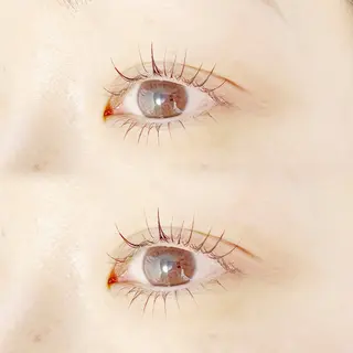 マツエク・マツパ plume eyelashのマツエク・マツパデザイン