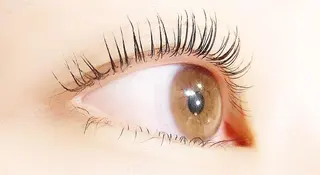 マツエク・マツパ Lanhr所属・【Lanhr】 🕊aya🕊のマツエク・マツパデザイン