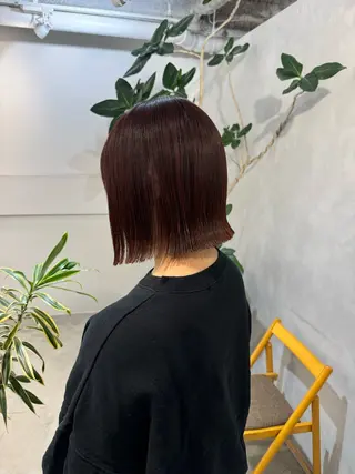 セミロング 顔周りcut・ご相談 ＝新宿しずく🇰🇷のヘアスタイル