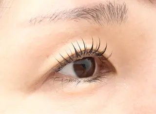 マツエク・マツパ アイラッシュサロン　Carina所属・水戸 SATOの眉毛・アイブロウイメージ