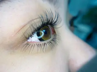 マツエク・マツパ トヨダ 池袋のマツエク・マツパデザイン