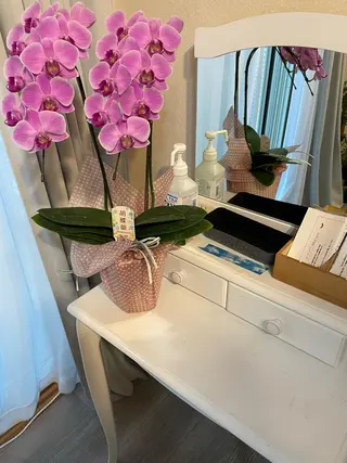 マツエク・マツパ 自宅マツエクサロン A/Rのマツエク・マツパデザイン