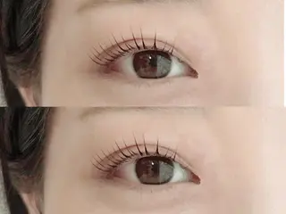 マツエク・マツパ 眉毛/まつ毛🧸 yuukaの眉毛・アイブロウイメージ