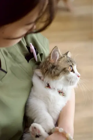 美容鍼・リラクゼーションサロン 晴々所属・清水 茜音のエステ・リラクイメージ