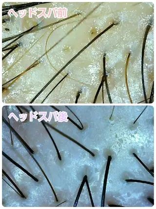 Poly-F所属・Poly-F... ayaのヘアスタイル