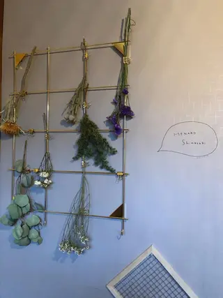 メナード島崎所属・メナード島崎 フジヨシのエステ・リラクイメージ