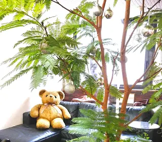 本通り店 ビーナスフォートのマツエク・マツパデザイン