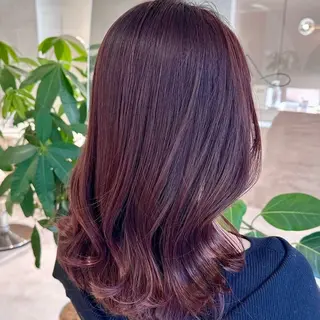 セミロング カラー 韓国風/小顔レイヤー /艶カラーのヘアスタイル