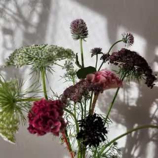 ネイル 🌲🌳🚪iiit o🌲🌳🌲のネイルデザイン