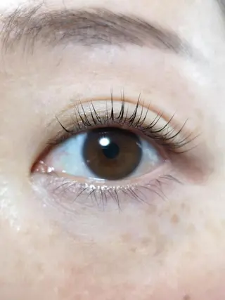 マツエク・マツパ Camel 🐫のマツエク・マツパデザイン