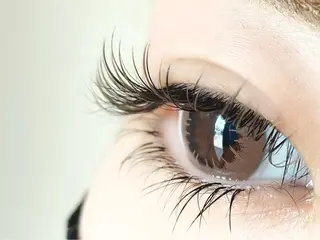 マツエク・マツパ Lily (リリー) 🔰古賀のマツエク・マツパデザイン