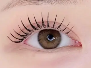 マツエク・マツパ 眉毛/まつ毛パーマ/WAX脱毛 Navillera 自由が丘所属・眉毛／まつ毛サロン Ayamiのマツエク・マツパデザイン