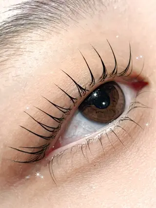 マツエク・マツパ 垢抜け眉WAX専門 ちゅるんまつげ|鎌倉の眉毛・アイブロウイメージ