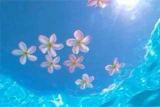 ロング カラー 生活に馴染む デザイン/鏡ゆうかのヘアスタイル