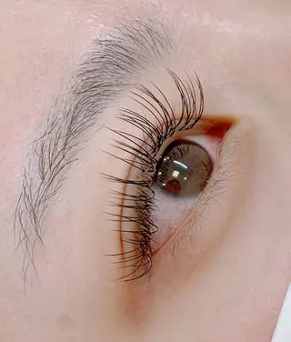 マツエク・マツパ EYELA 土浦店 幕内のマツエク・マツパデザイン