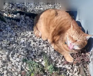 千の樹所属・久保 美咲(女性専用)のエステ・リラクイメージ