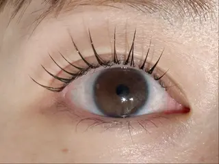 マツエク・マツパ LAUREL まつパ🌷Yuinaのマツエク・マツパデザイン