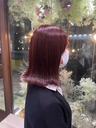 ミディアム 韓国ボブ🇰🇷/ Nodoka🧸🩵のヘアスタイル