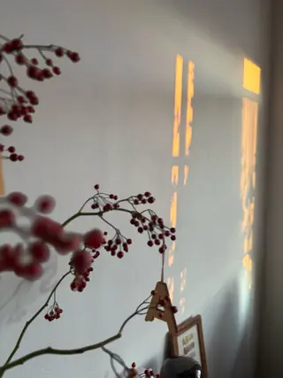 ネイル 🌲🌳🚪iiit o🌲🌳🌲のネイルデザイン