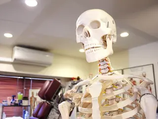 ピュアプロポーション美容整体カイロ院所属・🟢美姿勢/肩こり/ 腰痛/整体師水野🟢のエステ・リラクイメージ