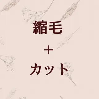 月100人以上 髪質改善施術｜谷口のヘアスタイル