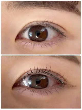 マツエク・マツパ Plume micoのマツエク・マツパデザイン