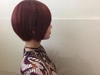 ショート 加藤 利基のヘアスタイル