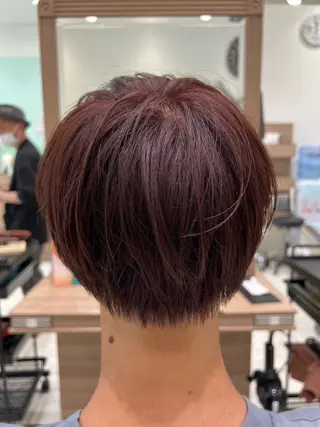 ショート カラー メンズ 指原 仁のヘアスタイル