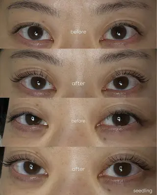 マツエク・マツパ シードリン府内店 米光の眉毛・アイブロウイメージ