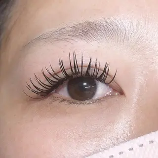 マツエク・マツパ Mercury Curl  鈴木 茜のマツエク・マツパデザイン