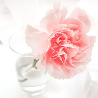 TIÁM eyelashのマツエク・マツパデザイン