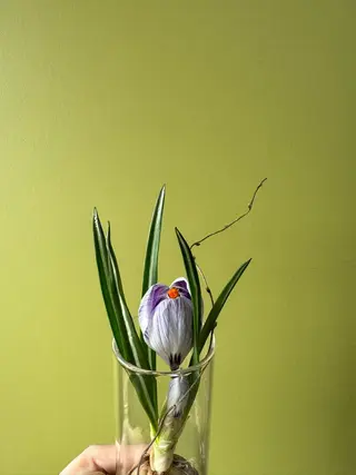 haru 🟠のエステ・リラクイメージ