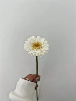 🌻花屋併設🌻濱 幸帆のヘアスタイル