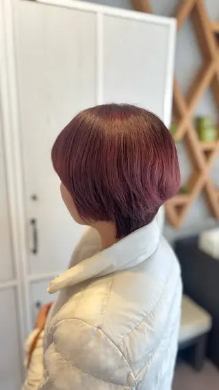 ショート カラー ELLE&SALLY Tamoriのヘアスタイル