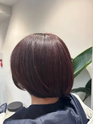 カラー 🐰カラー/ボブ/ manato🦊のヘアスタイル