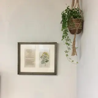 stream1st所属・ツヤカラー 🕊️sayakaのヘアスタイル